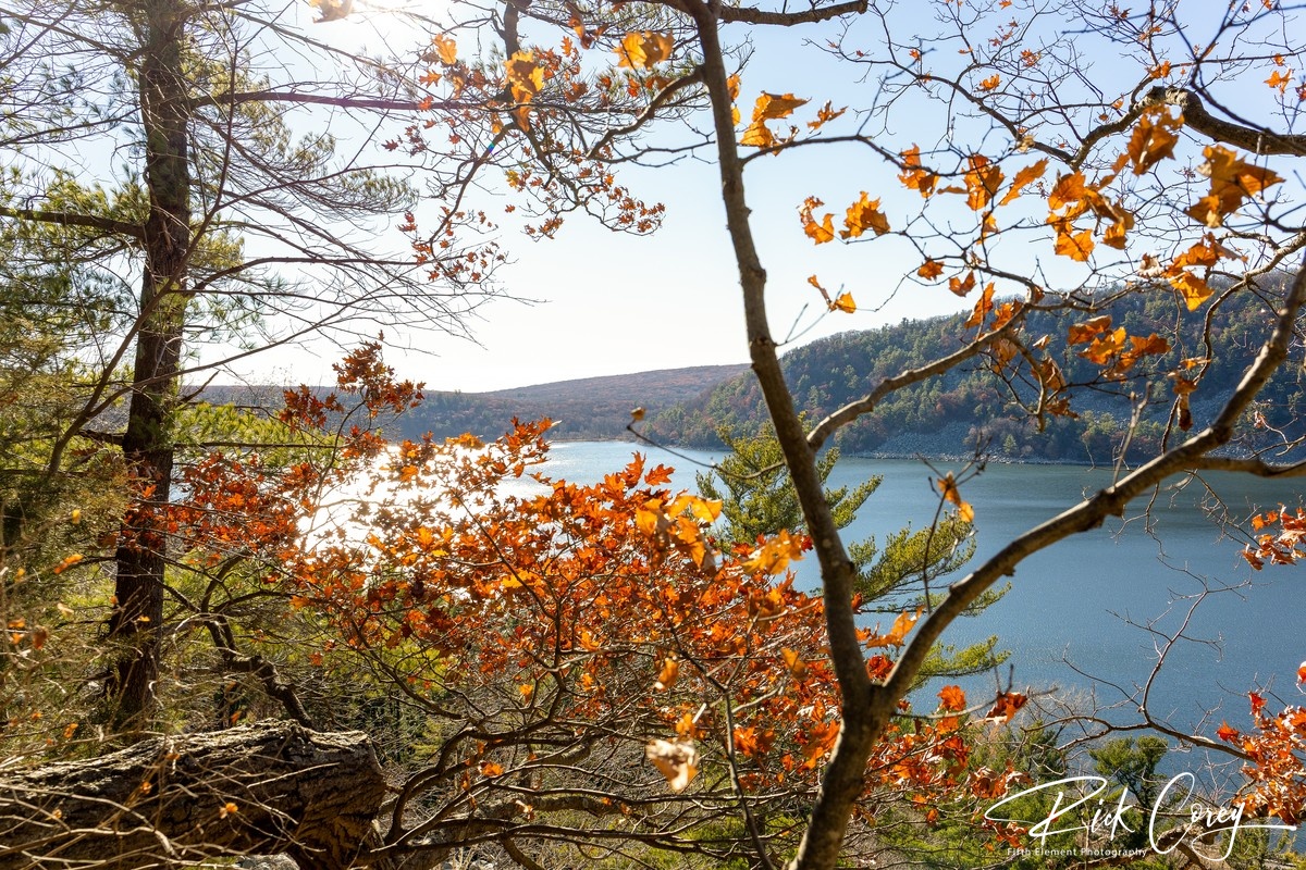 Baraboo Bluffs in Autumn Gold